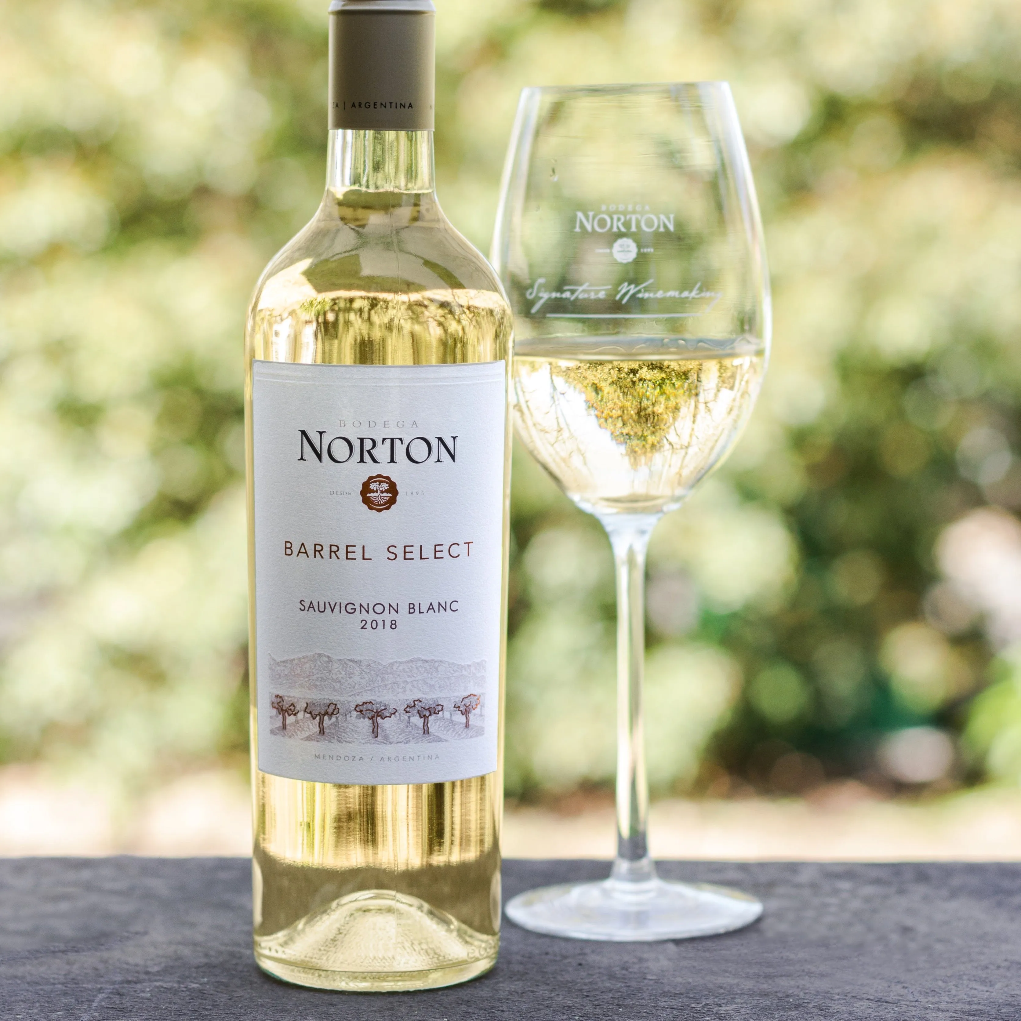 Norton - Barrel Select - Sauvignon Blanc - 750ml