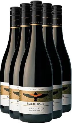 Saddleback by Peregrine Pinot Noir 2022 SIX PACK