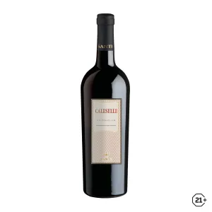 Santi - Valpolicella Le Caleselle - 750ml