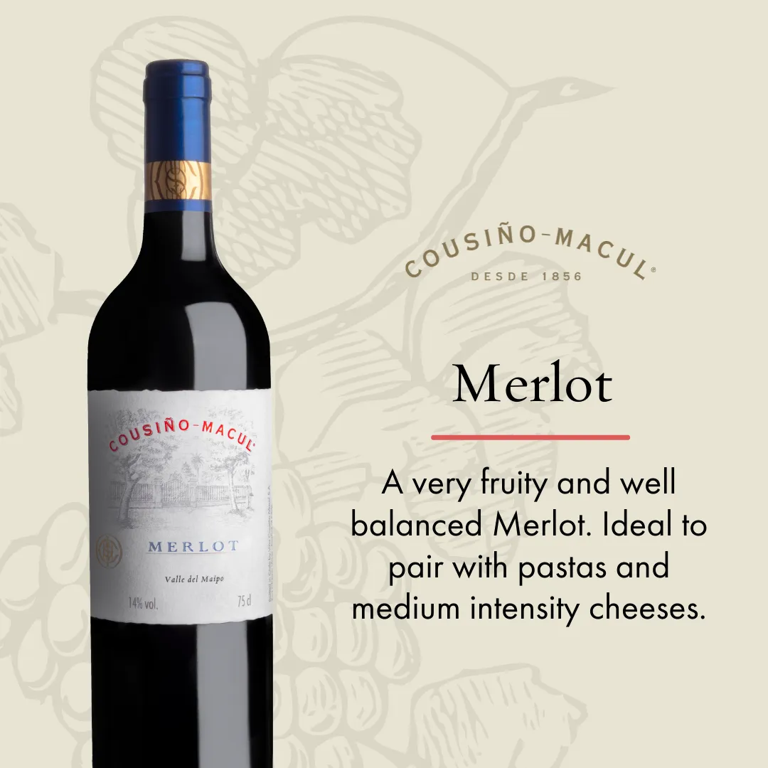 Vina Cousino Macul - Merlot - 750ml