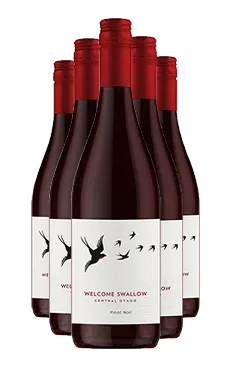 Welcome Swallow Pinot Noir SIX PACK 2022